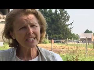 Anna Evans, spécialiste de communication intuitive avec les animaux