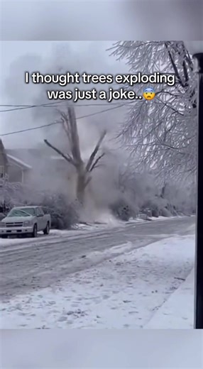 How am I just now finding out about this?😳 Everyone is talking about how trees can explode In the cold right now. In extreme cold weather, trees can crack loudly as the wood contracts and sap freezes and expands. There’s no fire, no explosion, and no danger — just a natural winter process. This video explains what’s happening. Educational explanation — not an actual explosion. #winter #weather #snow #didyouknow #nature