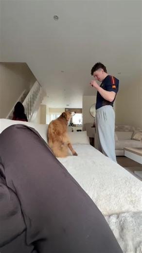 Dog's Hilarious Reaction to Sound
