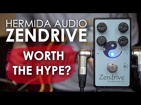 Zendrive - Worth the Hype? (Friday Fretworks)