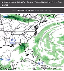 The Euro model remains the weaker of two models (GFS/Euro). It still poses a threat though as a rain producer and could get left by the steering flow in the Gulf next week. Prepare for a possible tropical system in the Gulf by late weekend/early next week just in case. | Chris Smith