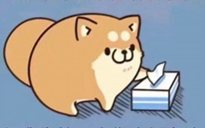 一招解决浏览器窗口拦截功能，上网查询不再是问题