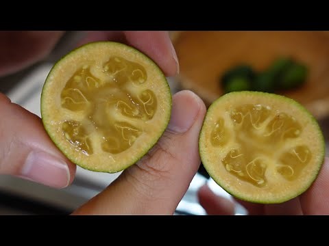 フェイジョアの食べ方、食べ頃、追熟【feijoa】