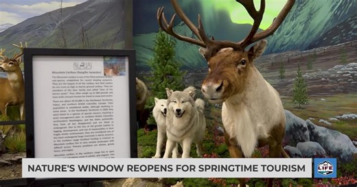 Nature's Window reopens for springtime tourism