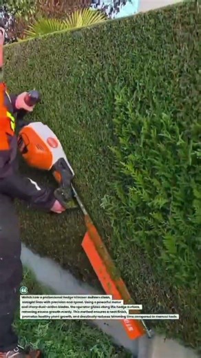 Precision Hedge Trimming Like a Pro 🌿✂️ #Landscaping #Gardening #HedgeTrimming