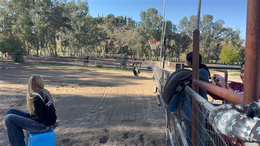 Run Forest RUN🤣😂😆 | "The Heart Of The Horse Therapy Ranch"