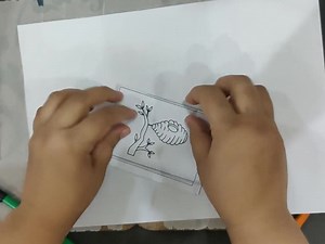 Birds Mini Coloring Book: Printable A4 Activity Book for Kids (PDF Download) - Etsy UK