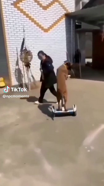 tiktok this video is fake #fake #donpollo #donpollo2982 #meme #fyp #trend #foryou