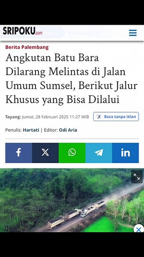 Mr.Falfaaa on TikTok