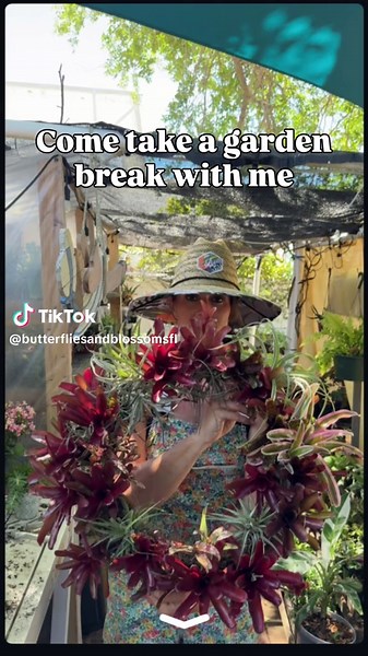 Stop what you’re doing and take a garden break with me. Sometimes life is hectic and you need a moment to be creative and just chill. Using a wire wreath form, moss and bromeliads I created a living summer wreath. I love being creative and using living items to enhance my outdoor spaces. So grab your supplies and go take a break this weekend. Your mind and body will thank you. #diywreath #naturebreak #floridafriendlylandscaping #gardenbreak