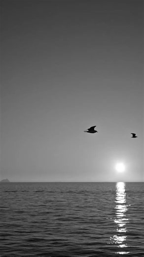 Explore Istanbul: Top Attractions and Hidden Gems