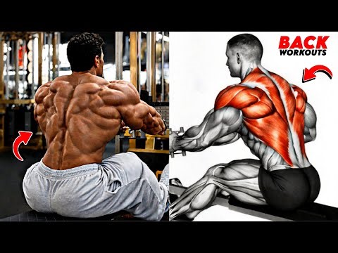 8 Best Back Exercises for a Thick, Wide & Detailed Back 💪🔥
