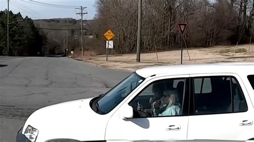 Karen froze at a green light and caused chaos