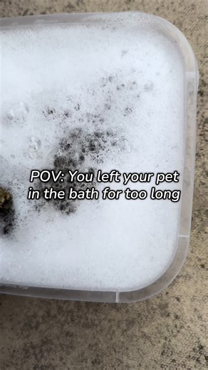 Cleaning Bones for Winter: A Unique Hobby