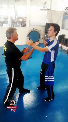 Masters of Wing Chun Kung Fu Demonstration Techniques - Arts Martiaux Et Autodéfense #Shorts