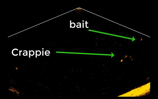7.6K views · 23 reactions | Short video explaining how to interpret forward sonar. You have 3 choices on how to use the transducer. Forward, down and (Landscape, Scout and Perspective) each brand has a different name. This video is using down. | DOCTOR SONAR | Facebook