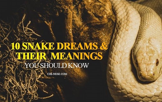 Dream About Snakes: 23 Spiritual Meanings and Hidden Symbols