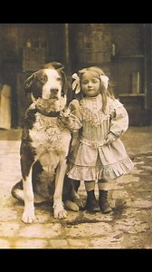 Vintage Pet Dogs - Part 3 #vintage #photo #slideshow #victorian #edwardian #pets #dogs #animals #photographs #sepia #blackandwhite #photography #socialhistory #cute #puppies #companions #adorable #feelgood #shorts #reels #video | Paul Currie