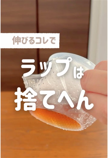 シリコンラップの経済的利点と育児ハック