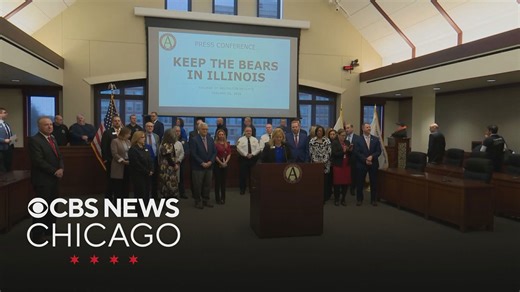 Arlington Heights officials push to keep the Bears in Illinois