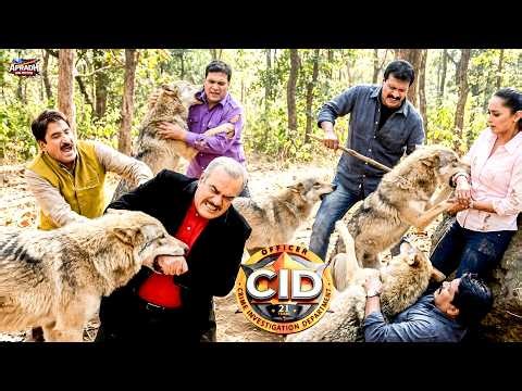 CID टीम के पीछे पड़े भेड़ियों ने सभी ऑफिसर्स को कर दिया घायल || CID || New Episode 2026