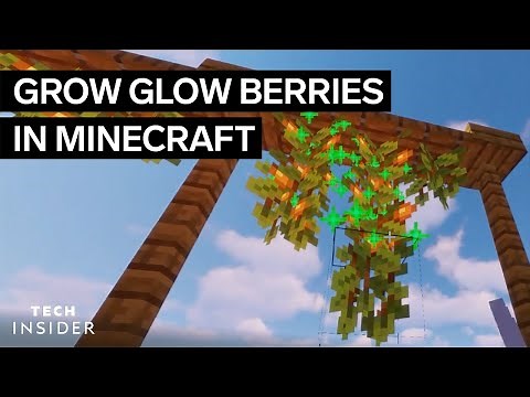 How To Grow Glow Berries In Minecraft