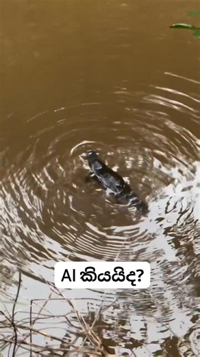 නෑ කියන අය 😇❤ | Shanaka Isuru Dh