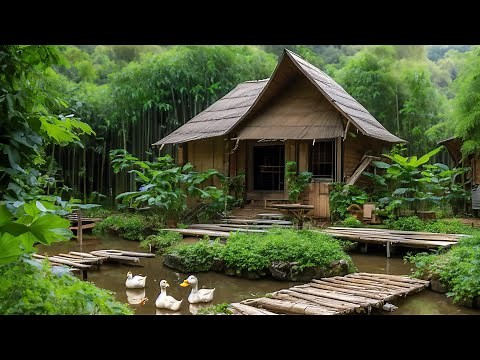 Bamboo House in the middle of nature - Construction journey and self-sufficient life