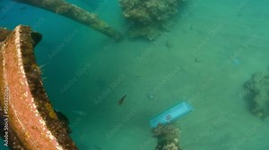Man dives in tropical sea, underwater. Male explores the reef around, people on vacation, man adventures underwater with snorkel gear. High quality 4k footage Stock Video