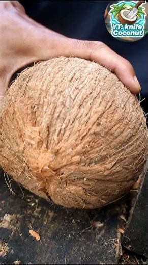 Crushing a large coconut shell