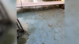 37K views · 114 reactions | If you've noticed weird slime or a strong...