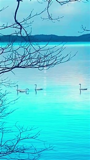 #fyp #北海道大沼国定公園 #七飯町