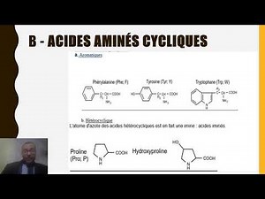 23 classification des acides aminés