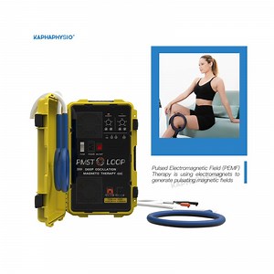 [Hot Item] Pmst Loop Insomnia Parkinson's Relief Magnetic Pulsed Pemf Therapy Equipment