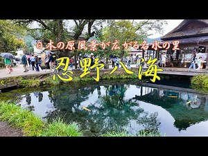 #53 【旅vlog】雨の忍野八海 日本の原風景が広がる名水の里 2024