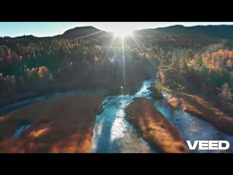 Veed io-video generator