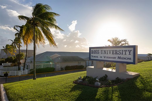 360˚ Virtual Tour of Ross Vet Campus