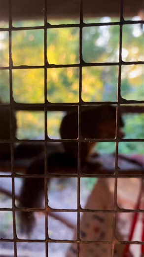 They love fruit and nut snacks!!! | Wildlife Warriors