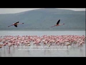 Promoting development