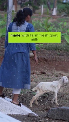 Indulge In the Goodness Of Milk Infused Skin & Hair Care. Install the Vilvah App & Get Flat 5% Off.