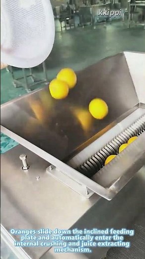 Stainless steel commercial citrus juicer for orange fruit processing
