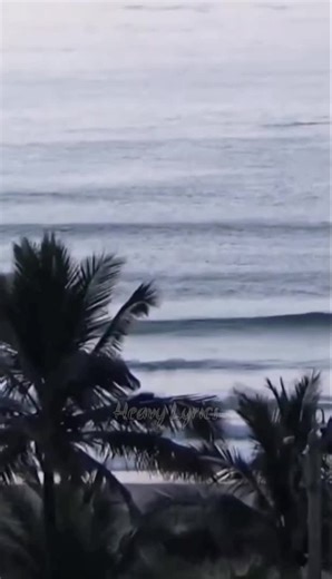 Areece's Journey in 25k Deep Waters: Lyrics Explained