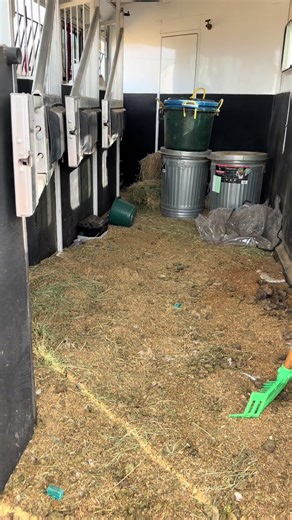 Mobile Trailer Washing Services for a Sparkling Clean