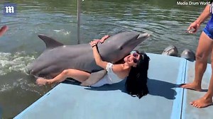 Hilarious moment woman is unexpectedly humped by a dolphin