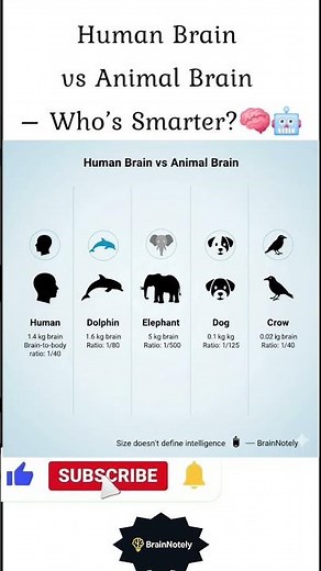 Human Brain vs Animal Brain – Who’s Smarter? 🧠🤖