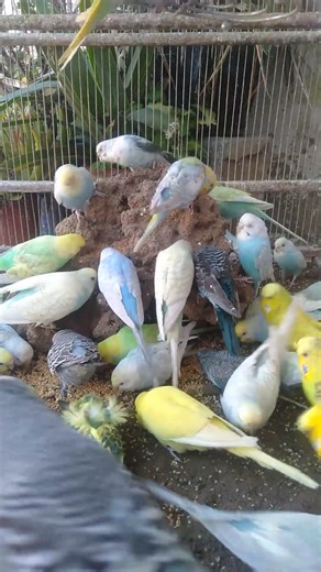 🌈 The Color Therapy You Didn’t Know You Needed