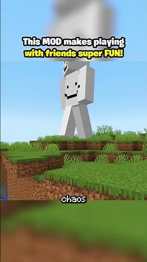 SinglePlayer MOD in Minecraft