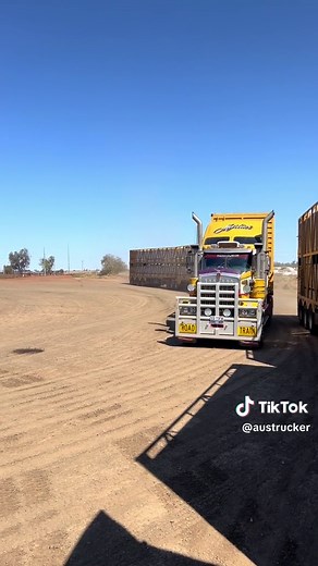 Exploring Cattle Carters in Australia