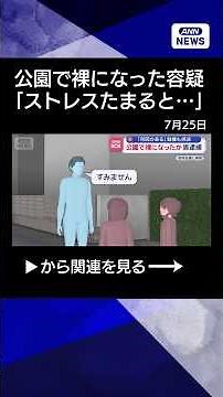 [News] Man Arrested for Alleged Public Indecency at Park: "I've Done This Several Times" #shorts