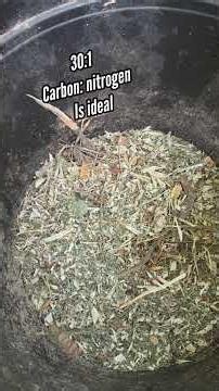 Real Easy Compost Recipe